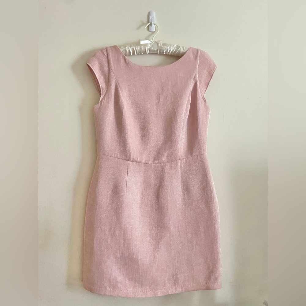 Baby Pink Halston Dress